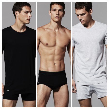 LACOSTE -  Essentials