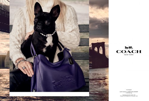 Coach Pups Campaign 